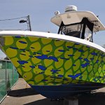 Boat Wraps